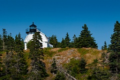 Bear Island Light Amongst Evergreen Trees in Maine
